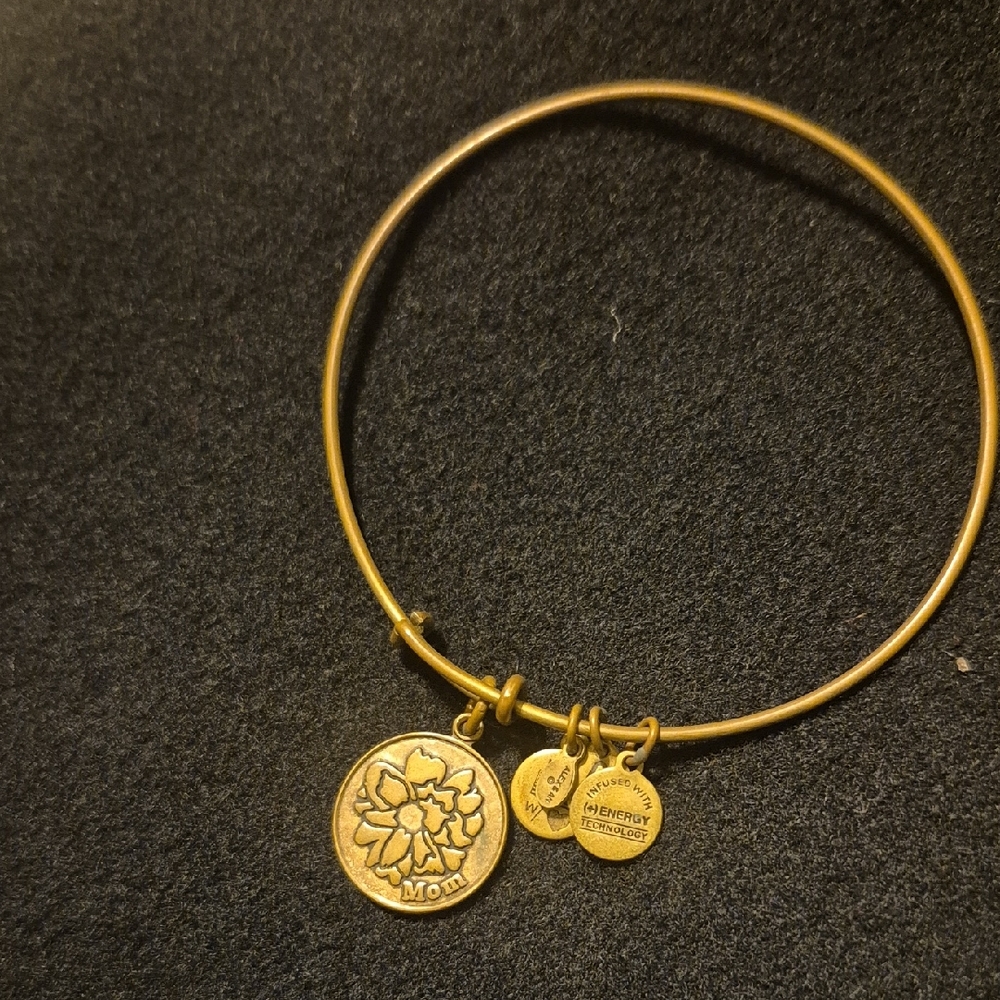 Alex and Ani Gold Bracelet with Charms